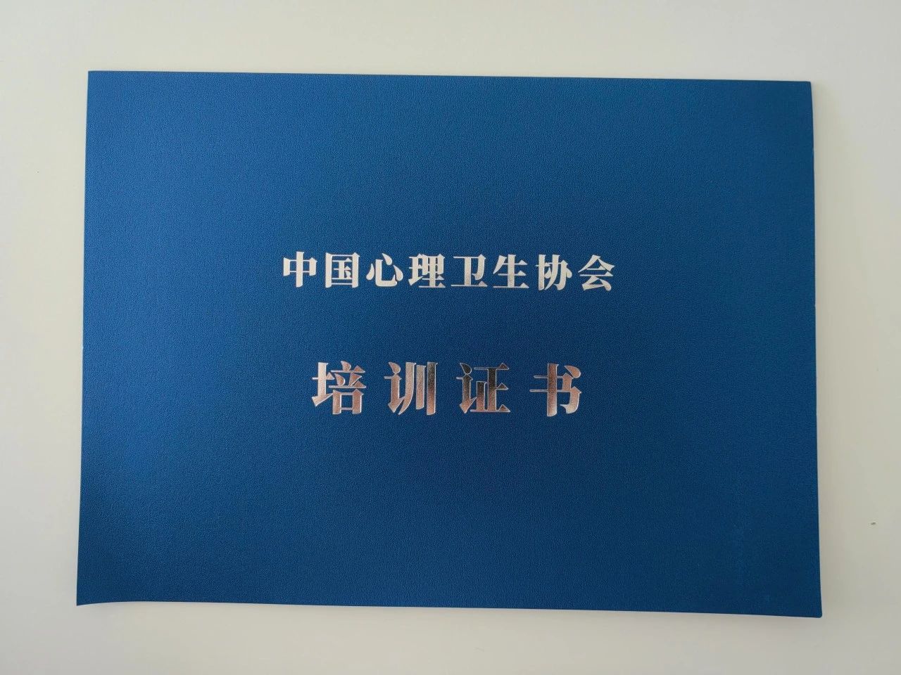 02.jpg